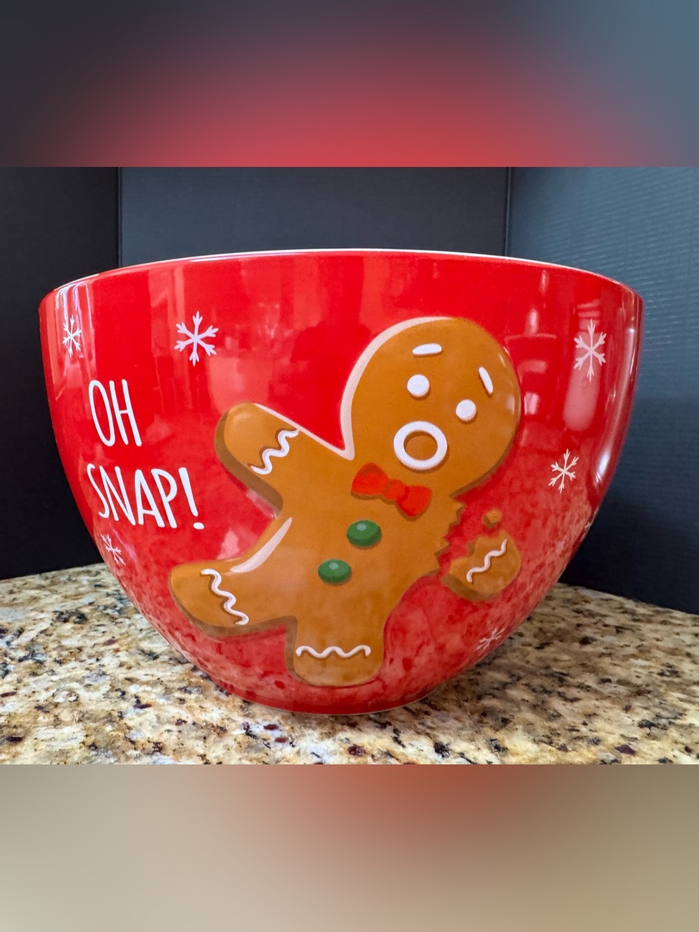 Holiday Gingerbread Ceramic 5QT Serving Mixing Red Bowl Stoneware